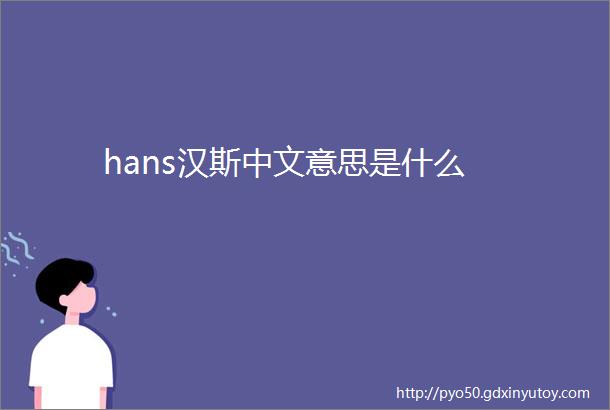 hans汉斯中文意思是什么
